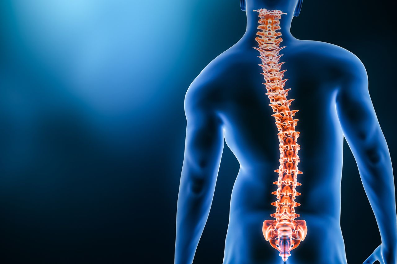 Scoliosis – Causes, Symptoms, and Treatments in Kozhikode